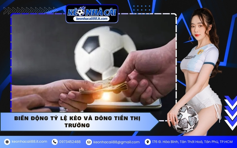 Biến động tỷ lệ kèo và dòng tiền thị trường