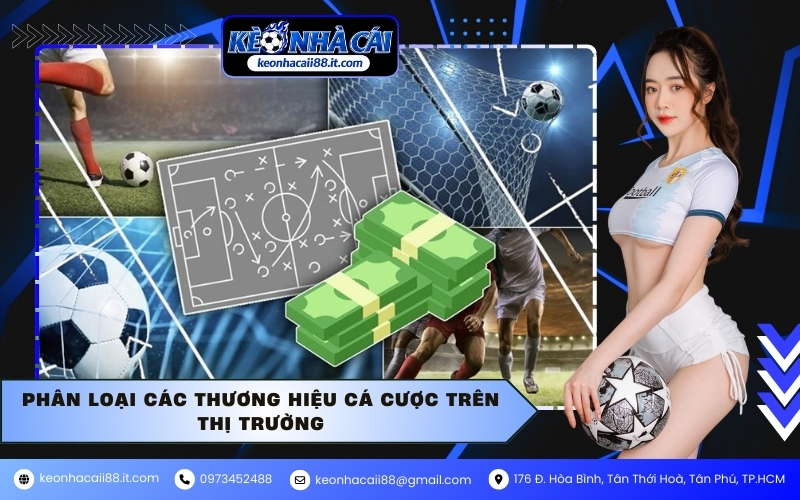 Phân loại các thương hiệu cá cược trên thị trường